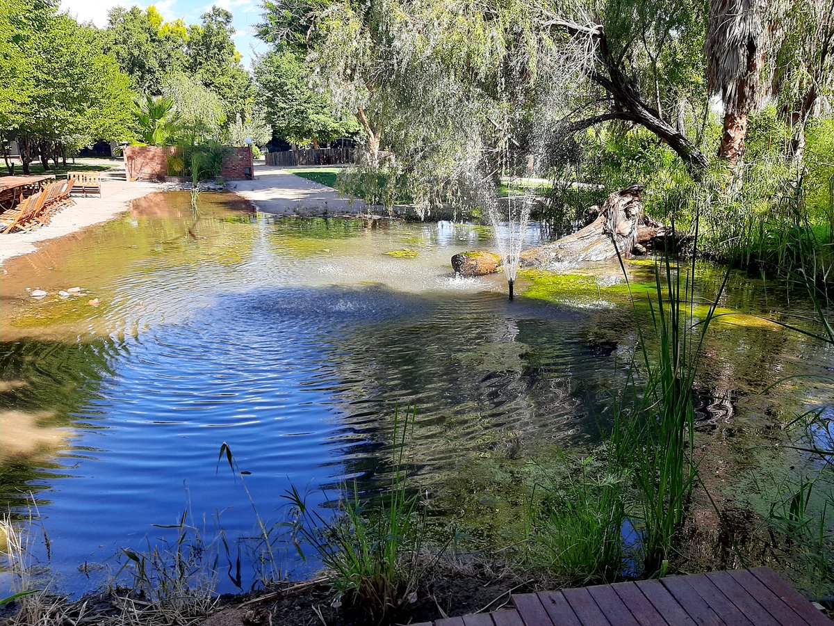 Some pictures of African Vineyards, Upington, Northern Cape.