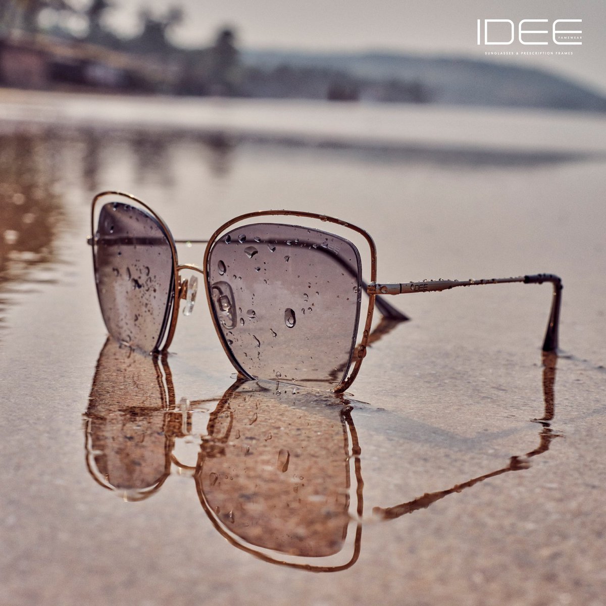 IDEE_Eyewear's tweet photo. Let your sunnies reflect your mood ✨#LaVieEstBelle 
#IDEEeyewear 
[Model no. 2529]
.
.
.
.
.
.
.
.
#IDEE #Eyewear #sunglasses #shades #eyewearfashion #shadeslover #hifashion #metallicstyle #fashionframes #sunglassesaddict #exploremore #styleinspiration #youngandfamous #Famewear https://t.co/HssA82Y6pu