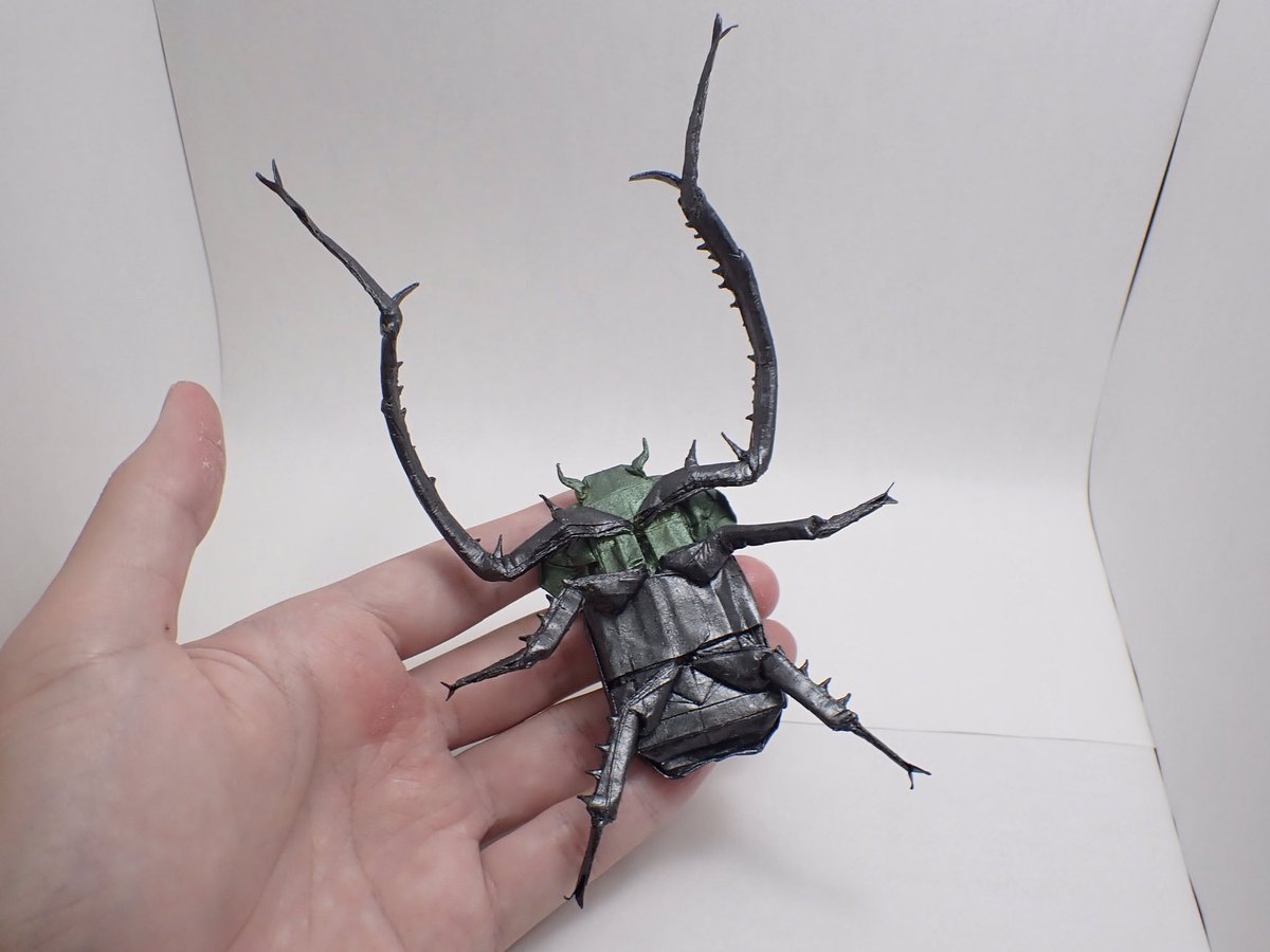ヤンソニーテナガコガネ　68mm ヤンソニーテナガコガネ 68mm | カブトムシ