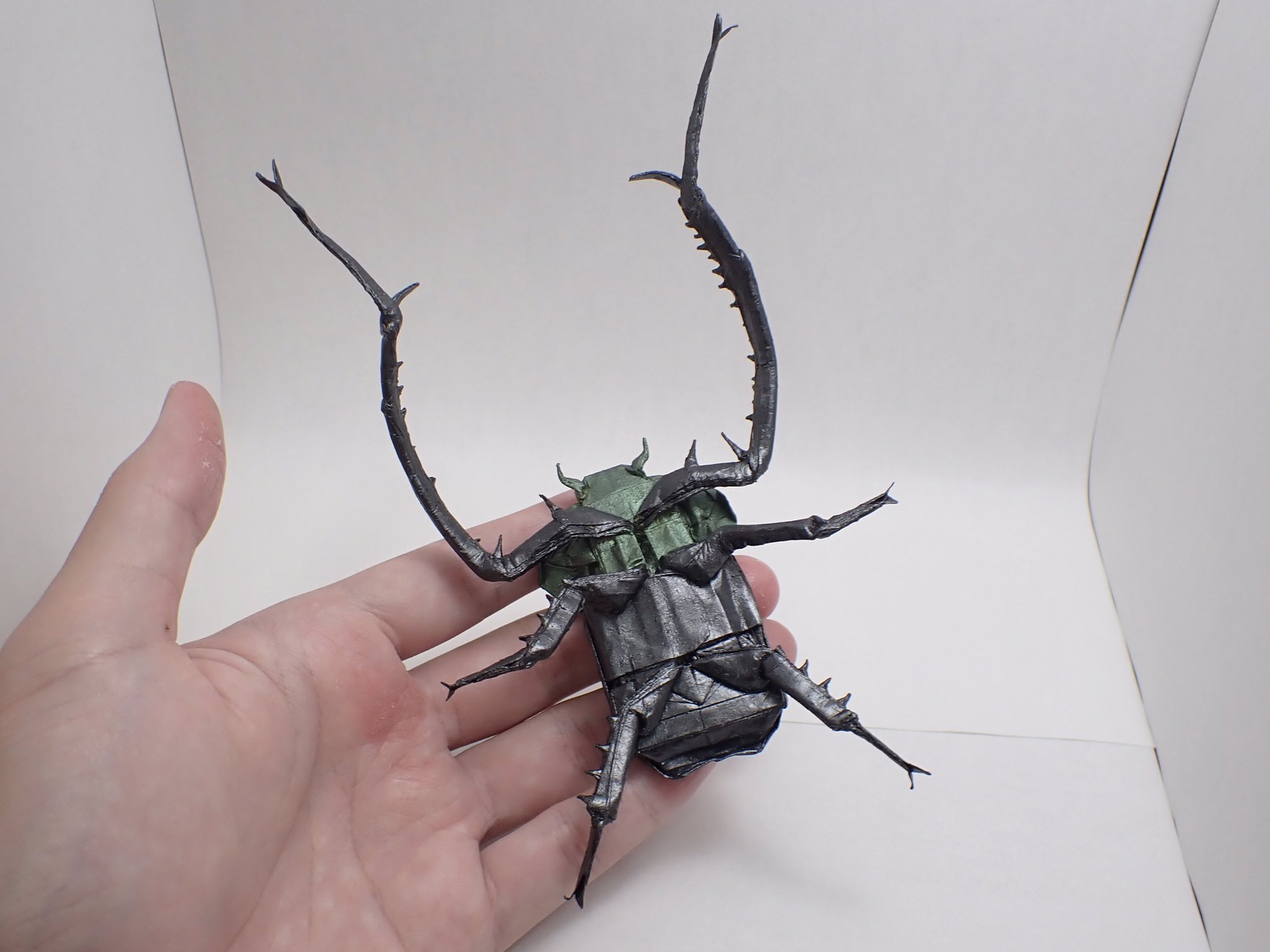 ヤンソニーテナガコガネ　69mm すぎぽよ on X: 