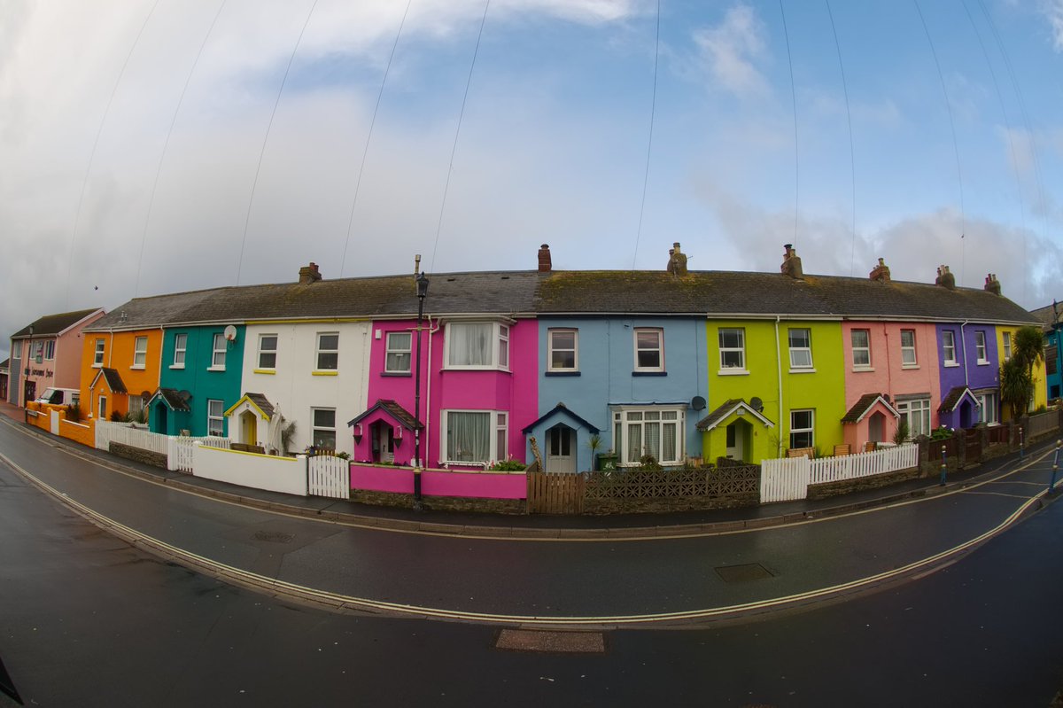 thisdevon tweet media