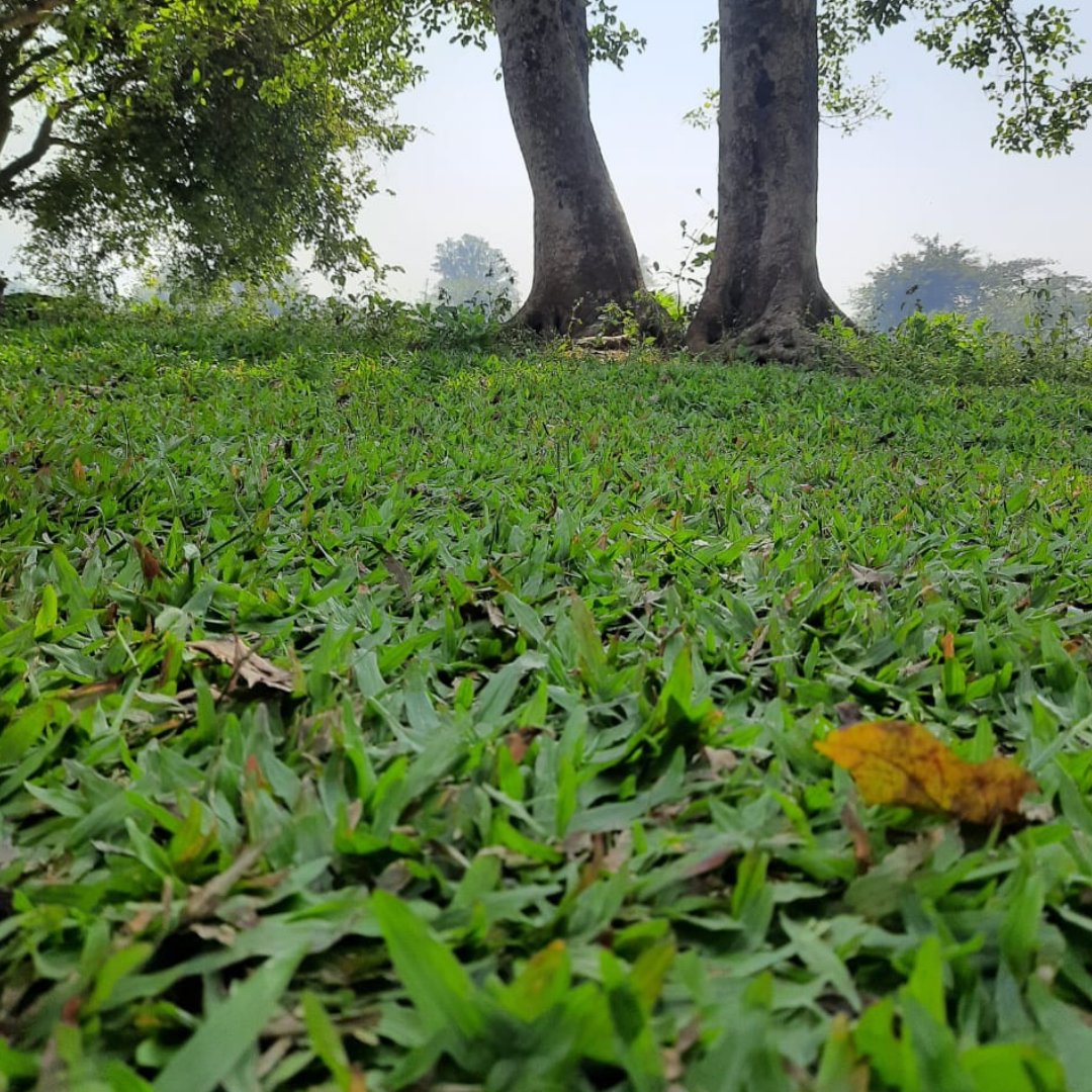 GoldenFieldsRes's tweet photo. Work Hard during weekdays,
and Travel Harder during weekends.
#mulshi #resort https://t.co/dABtlLdDUq
