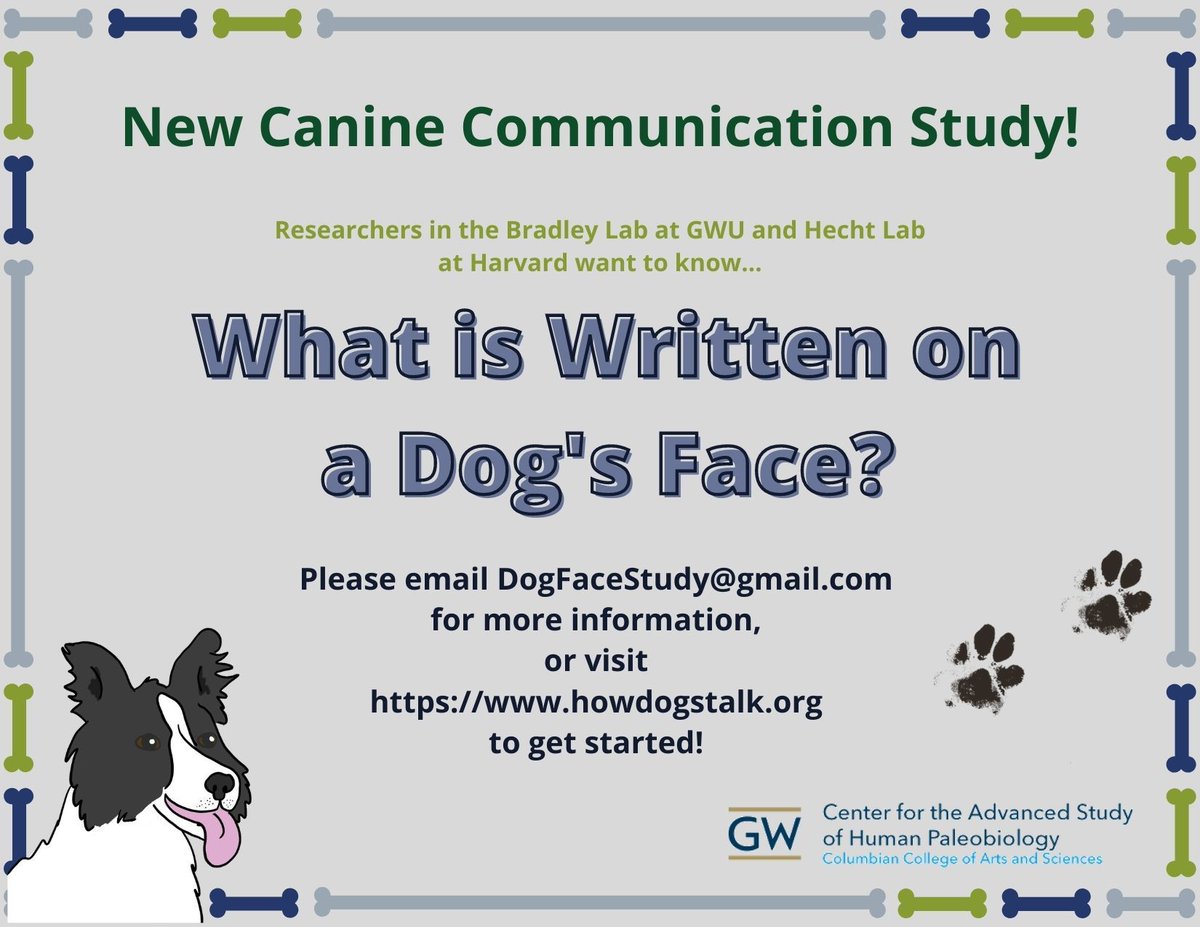 Awesome_DC's tweet image. Our Sept. '19 grant winner What's In A Wag? is launching a new study - @HowDogsTalk! Courtney is recruiting participants for her doctoral thesis project: What is Written on a Dog’s Face? Find more information about the study at HowDogsTalk.org.
#WeTheDogs #DCDogs #DC #DMV