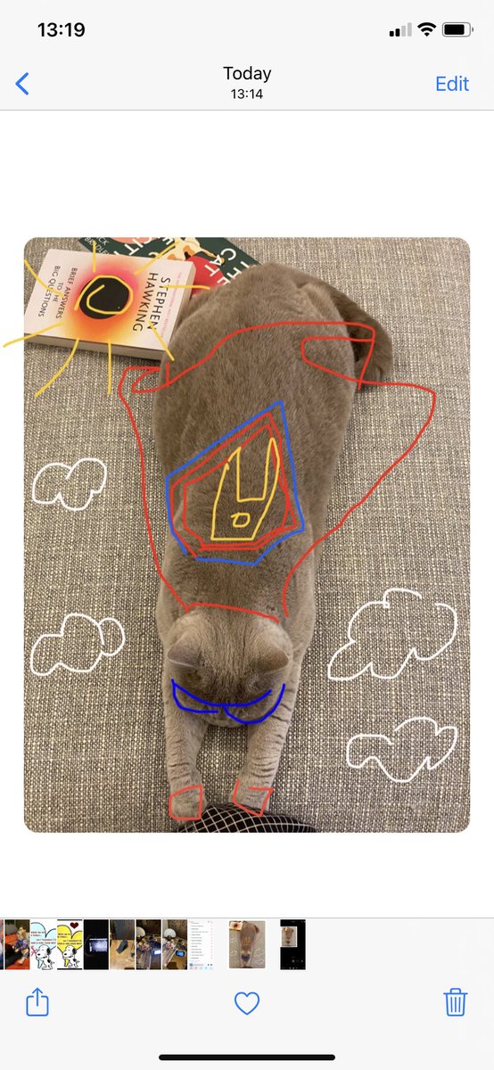 chirstymac's tweet photo. @GandalfGreyCat #SuperLoaf https://t.co/iTPmY02fuD