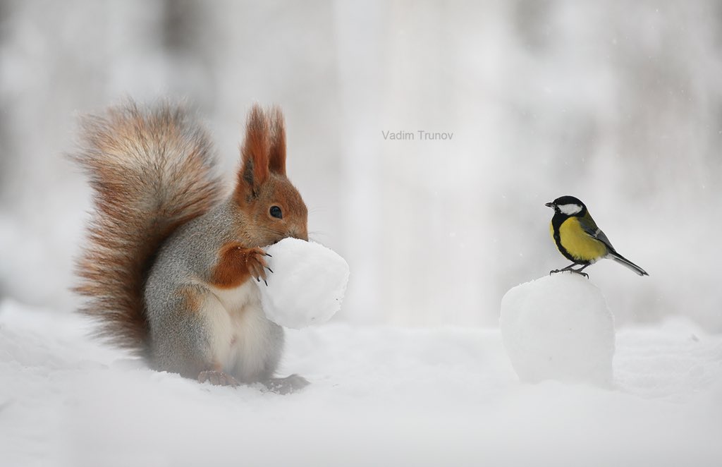 Jeanette tweet media