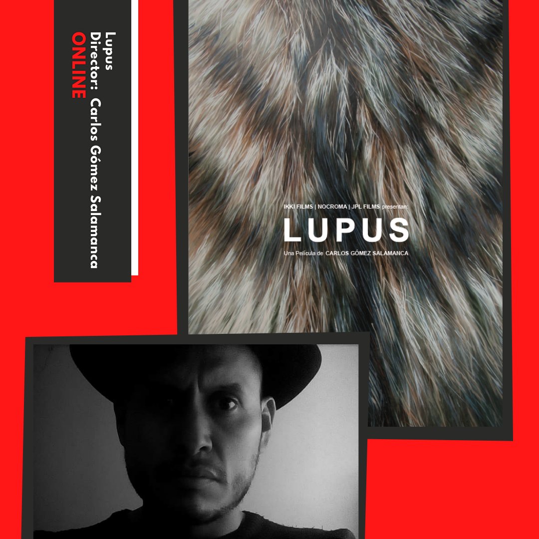 fcdhbcn's tweet photo. ⚠️Hoy en @fcdhbcn disponible el bloque #TuMiradaFCDHBCN2020
07/01 al 13/01📆 #Colrun - #ManoliñoNguema @WakaFilms - #Lupus - #Prey
🔴Entra en https://t.co/2miHYsvPNb
🟡VER PELÍCULAS -introduce el password
🟢A disfrutar! #filmfestivals #Cinema https://t.co/q0sX9IwPFy