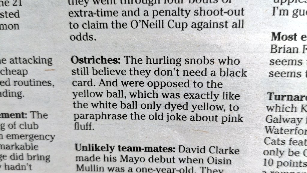 Liam Tunney ✍️ tweet media