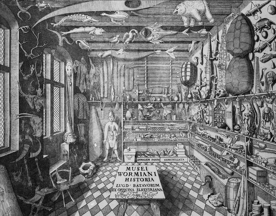 The German concept of the Kunstkammer and Wunderkammer, ‘cabinets of curiosities’ flourished in the 16th and 17th century. These were collections of stuff assembled to be primarily impressive and aesthetically pleasing and also to show off the owner’s social standing. /12