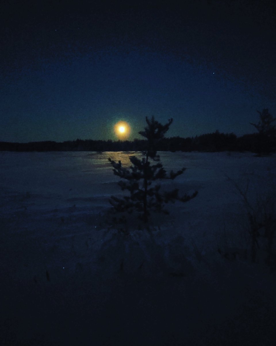 UpNorthMatt1's tweet photo. The moon setting, casting light on the new fallen snow.
.
.
.
#upnorthmatt #winter #winterwonderland #winterfun #northernontario #moon #moonlight https://t.co/vwpLAhgV9I