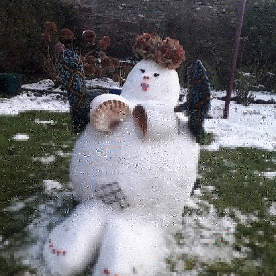AteliersCortada's tweet photo. A new visitor to the garden.  With her fancy Latvian mittens (she was too.busy to sew the ends in).
Sadly the wood pigeons have already taken care od her painted toenails. 
#friendlylocal #latvianmittens #snowwoman #edinburghgarden https://t.co/LkF0rkQxAu