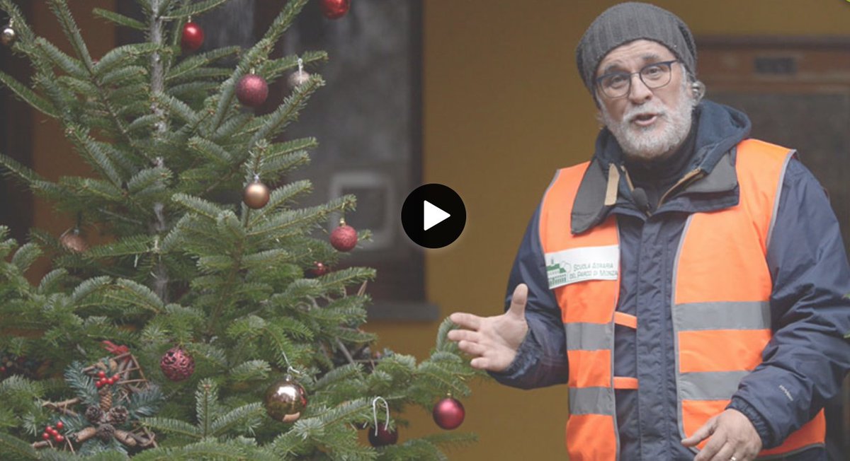 Cosa fare con l'albero di Natale vero, piantarlo o "buttarlo"?
gardentv.it/albero-natale-…
#alberonatale #giadinaggio