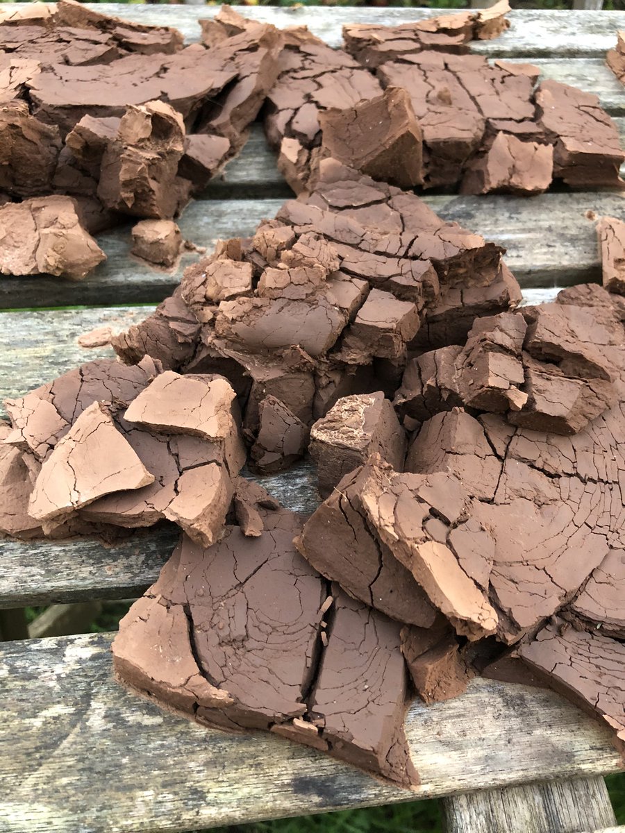 Growing Beer tweet media