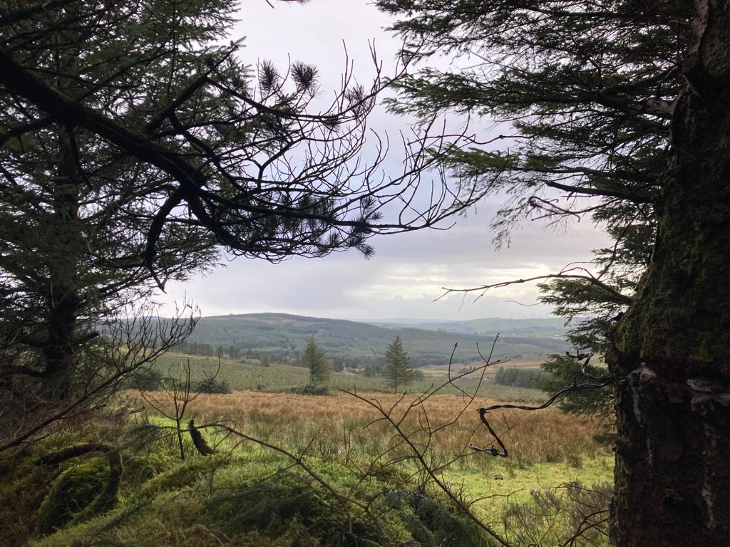 lizlimerick1's tweet photo. Today's trail was West Limerick Ashford/Broadford 10.5km up to #Loughghe. #greatoutdoors #bodymindsoul https://t.co/5SQILvt9G7