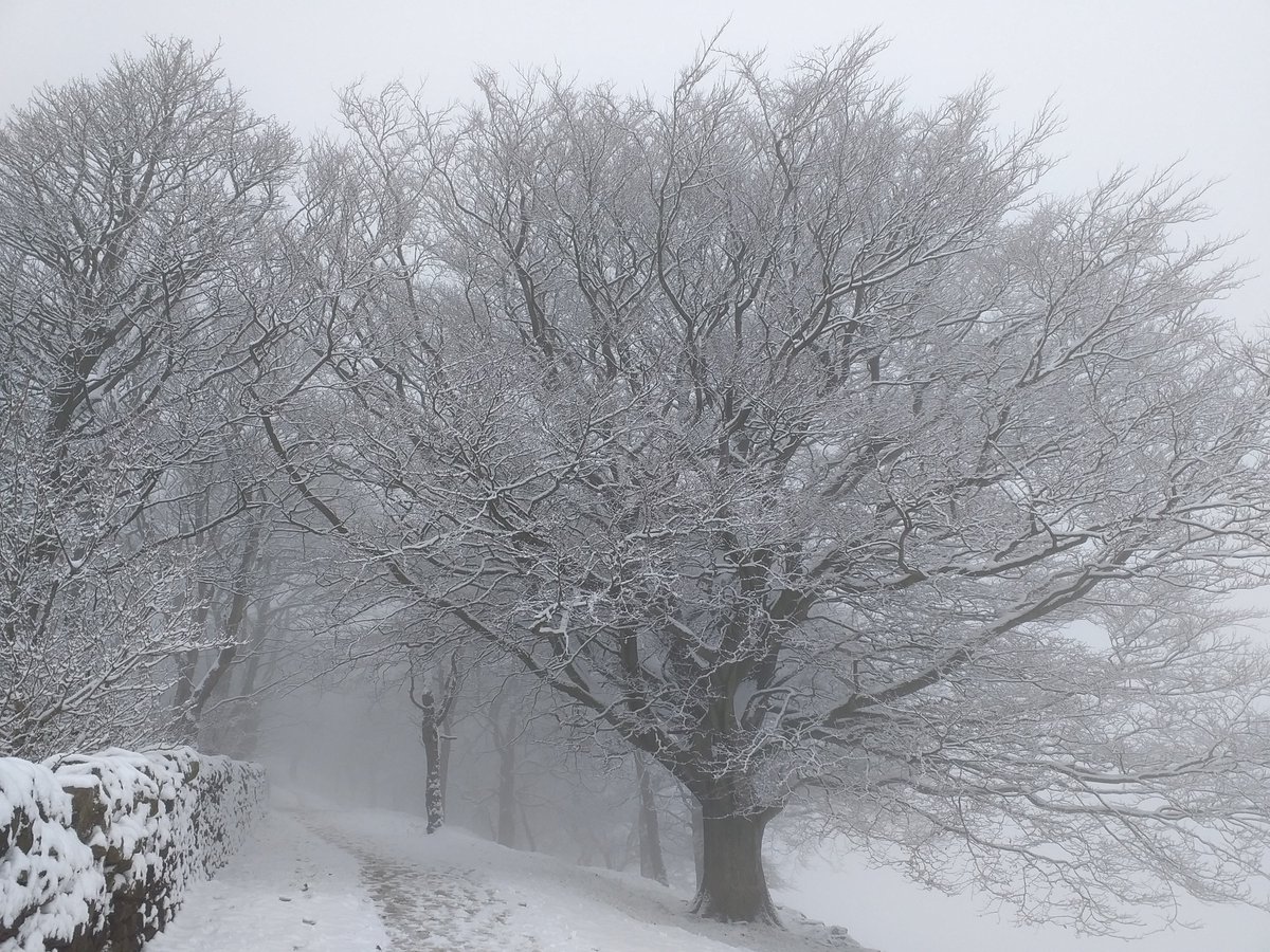 Snow's here, but so was the mist on White Nancy this morning. Still, the trees looked good 😃