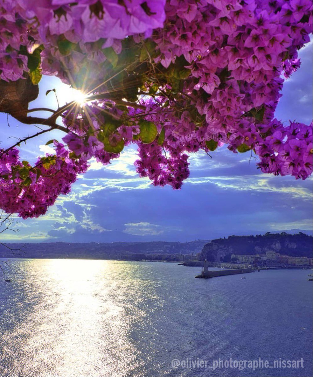 🌸Happy Tuesday beautiful friends!💋💨💨💨🌊Absolutely blue-tiful!😱😍What a stunninnnng 📸 of our beloved #Nice! 💝#beach #travel #france #COVID19 #photo