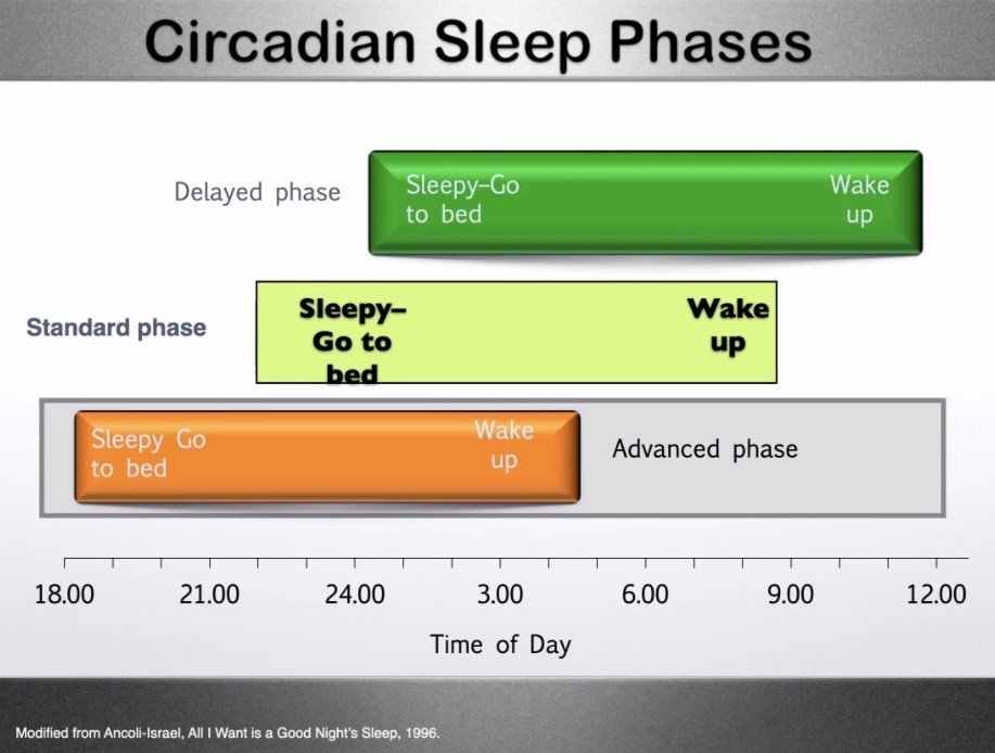 griz1's tweet photo. Developmental changes in sleep are important. Slow wave sleep declines with age. Teen circadian sleep phase is often delayed. @uclachildneuro #NoonConference #PNNC by #DrAAvidan. @UCLANeurology @UCLAMCH @PedNeurBriefs @athletesleepmd1 @malhotra_md @SleepReview @AASMorg #PedsICU https://t.co/WBmc2YnGzx