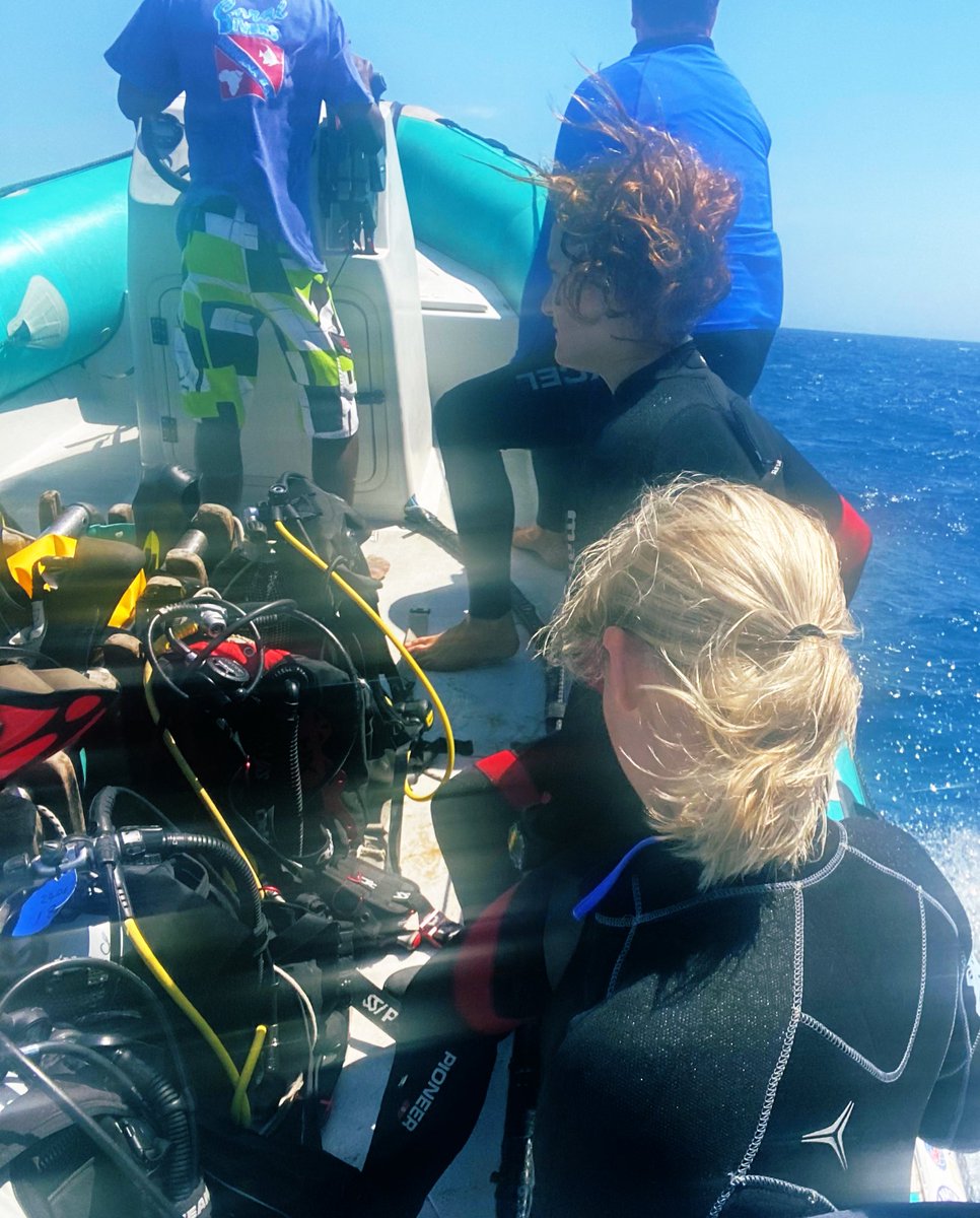 LeanderMedic's tweet photo. #scubadiving nr2 done and dusted what fun!! #ScubaStrong #scubafun https://t.co/uCK6zEjClX