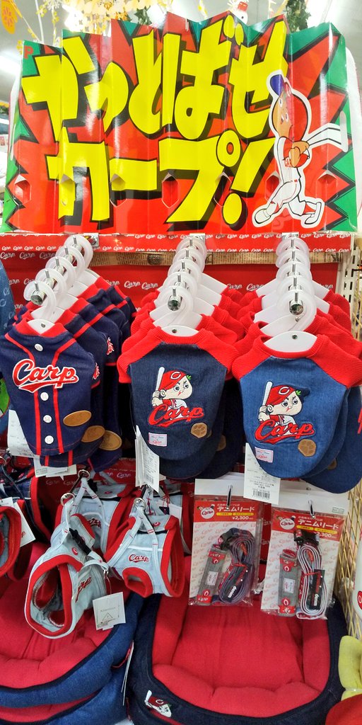 ট ইট র アミーゴ五日市店 カープグッズ沢山入荷しました というわけでカープコーナーもリニューアルしましたー 広島犬の皆におすすめ カープ 野球 カープグッズ カープ犬 犬 服 アミーゴ アミーゴ五日市店 広島 ペット
