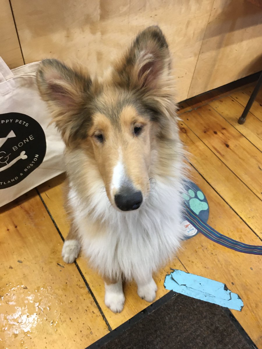 fetchportland's tweet photo. Waiting for my favorite treat like...⏰ #thefishandbone #portlandmaine #portlanddowntown #portlandoldport #treattime https://t.co/oGd6DUWHU8