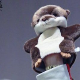 who in got7 but it's actually choi youngjae; a lovely thread  #GOT7    #갓세븐