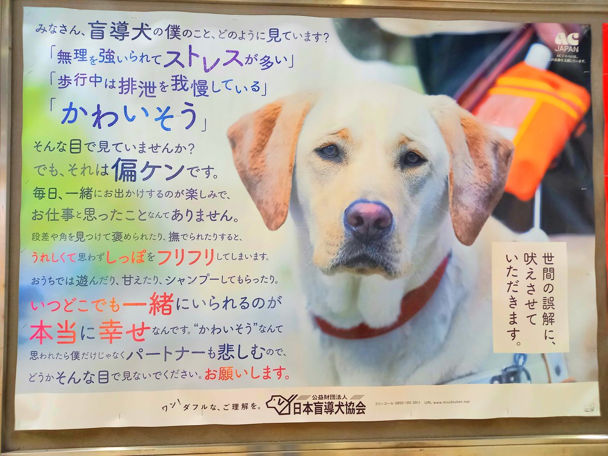 盲導犬 Hashtag A Twitteren 盲導犬 Hashtag A Twitteren