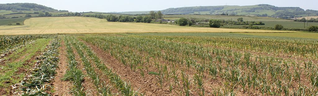 Win <a href="/TheGarlicFarm/">The Garlic Farm</a> Hamper 🧄🧺🎁

📸 Snap 👉 Tag #Madmas2020 + #JingleCloves 👉 Instagram

Share a festive photo of yourself with a friend or partner.

Madmas.co.uk

Ts &amp; Cs Apply - See Website.

#IsleofWight