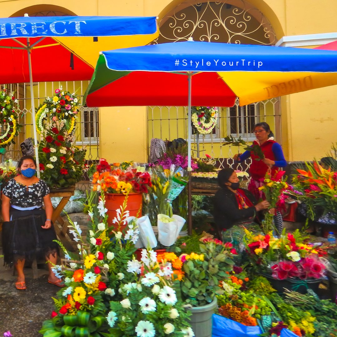 Guatemala_Tours's tweet photo. Guatemala, The Land Of Eternal Spring

#StyleYourTrip #MeetTheAdventure #vacationguatemala #WeTravel #WeDiscover #WeExplore #martsamtravel #tourstoguatemala #martsamexperiences #tourstotikal #guatemalavacations #helicoptertours #familytravel #travelguatemala #tailormadetrips https://t.co/1AbxQ4Vs8R