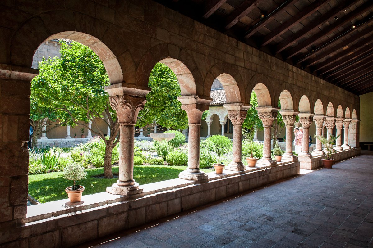 It you live in New York I recommend going to see the quinces at the Cloisters Museum. There's four of them in the main garden. Medieval architecture too, and it is outdoors or old fashioned natural ventilation so you won't catch anything (other than UV and vitamin-D).