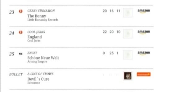 alineofcrows's tweet image. Exciting news for the Crows! This week our debut album 'Devil's Cure' released by Echozone has climbed 7 places from 33 to 26 in the Native 25 German Alternative Charts