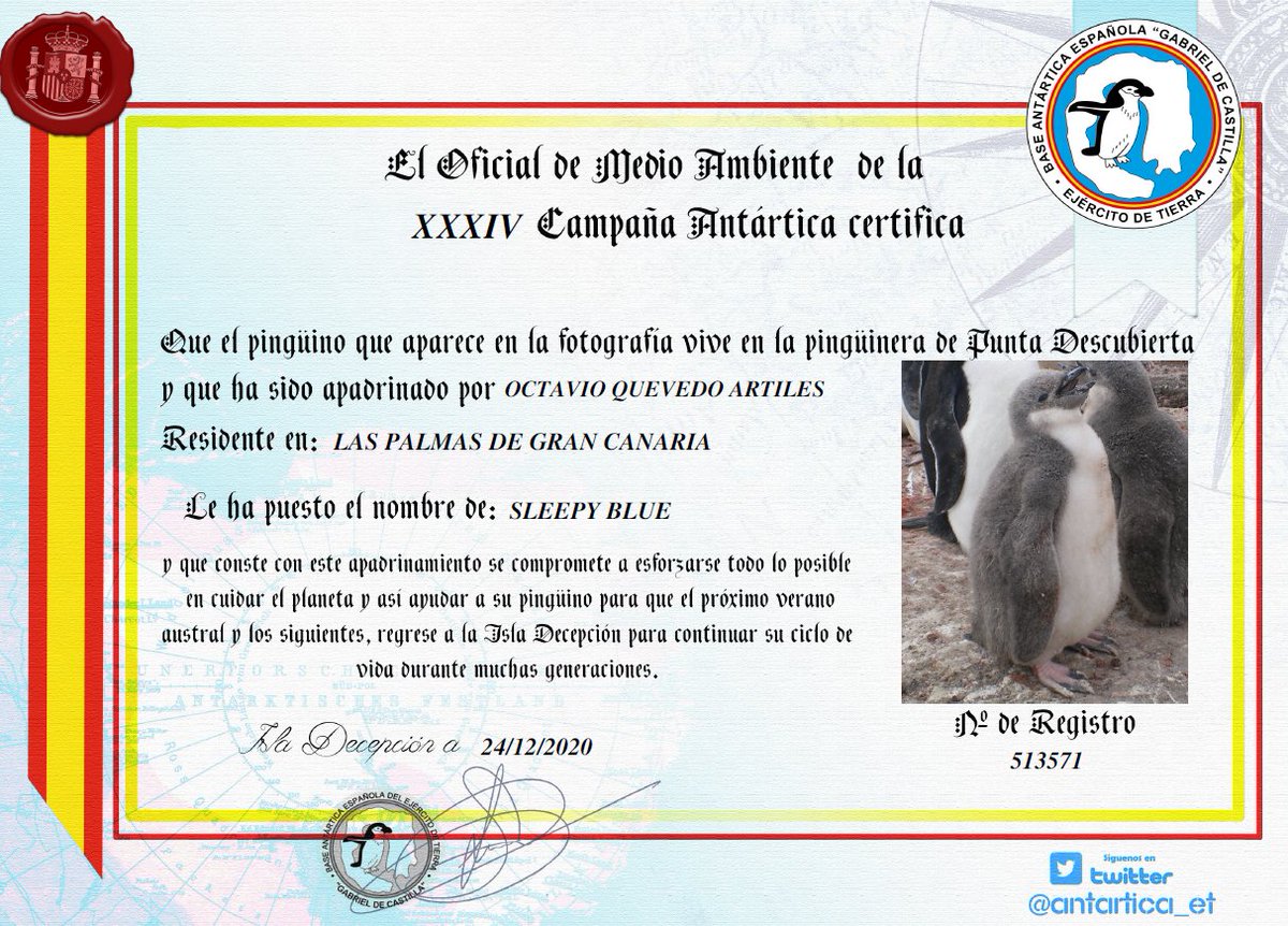 Sleepy Blue 💤 tweet media