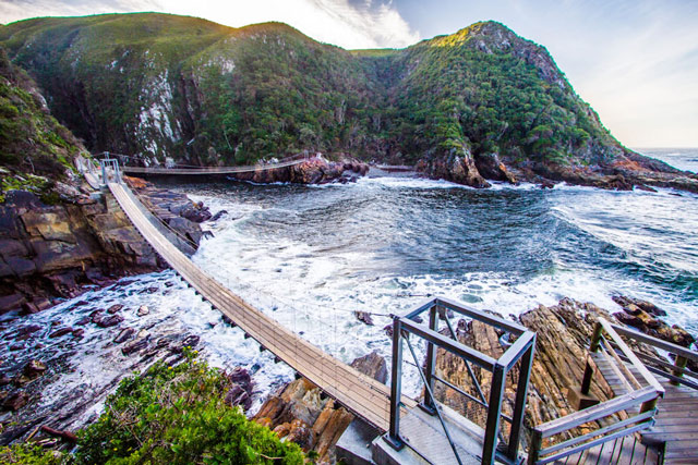 #WeAreOpen for... day trips to #Tsitsikamma
Whether you're into hiking &amp; birding or bungy jumping &amp; ziplining, a #PlettSummer day spent in Tsitsikamma will be a memorable one.  #ChasetheFeeling