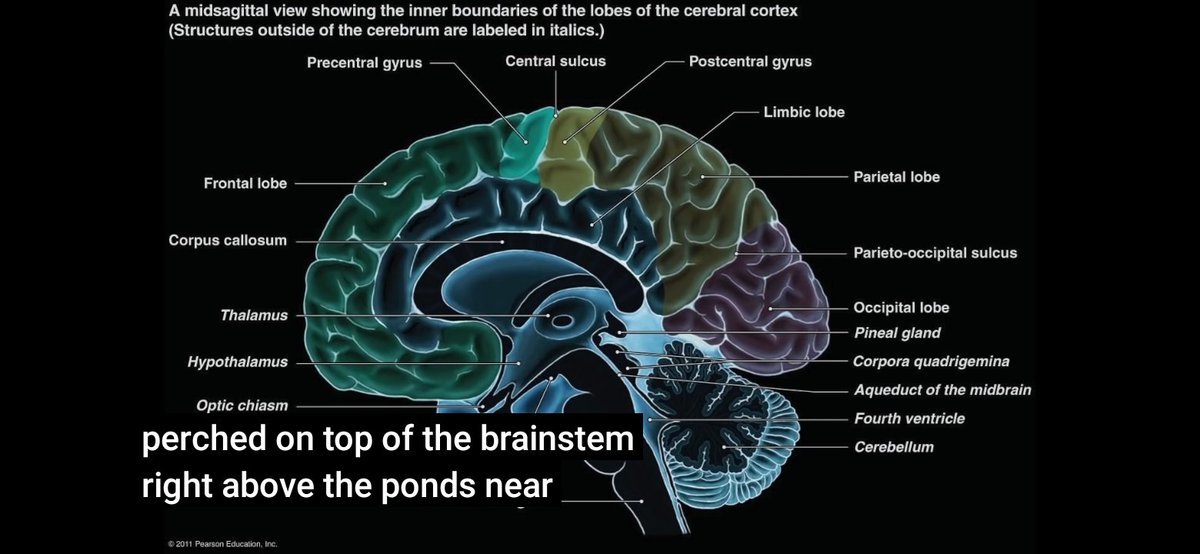 저는 차크라를 열어 진동수를높이지 못하면 차원상승은 어렵다고 봅니다.차크라를 열기 위해서는 두려움(코비드가 이를 심리적으로 유발),부정적인 생각,이원념 등은 멀리하고,사랑,연민,용서,자비,이타심,보살의 마음 등이 중요하다고합니다. 마음이 바르지 않으면빛은 그냥 지나처 버린다고
