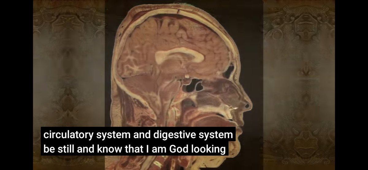 저는 차크라를 열어 진동수를높이지 못하면 차원상승은 어렵다고 봅니다.차크라를 열기 위해서는 두려움(코비드가 이를 심리적으로 유발),부정적인 생각,이원념 등은 멀리하고,사랑,연민,용서,자비,이타심,보살의 마음 등이 중요하다고합니다. 마음이 바르지 않으면빛은 그냥 지나처 버린다고