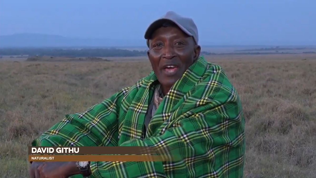 rockynight's tweet photo. I Miss Mr Massai Mara alot @ggdavid_githu  come back soon #wildearth https://t.co/TV99UYKSt5