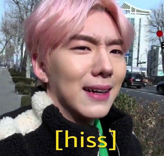 yoo kihyun as toothless, a thread: