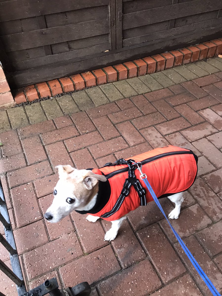 PussPussTopCat's tweet image. Mummy brought me my very own snuggly coat ....now I can be snug as bug ...look at me ... #snugasabug #princesscoat