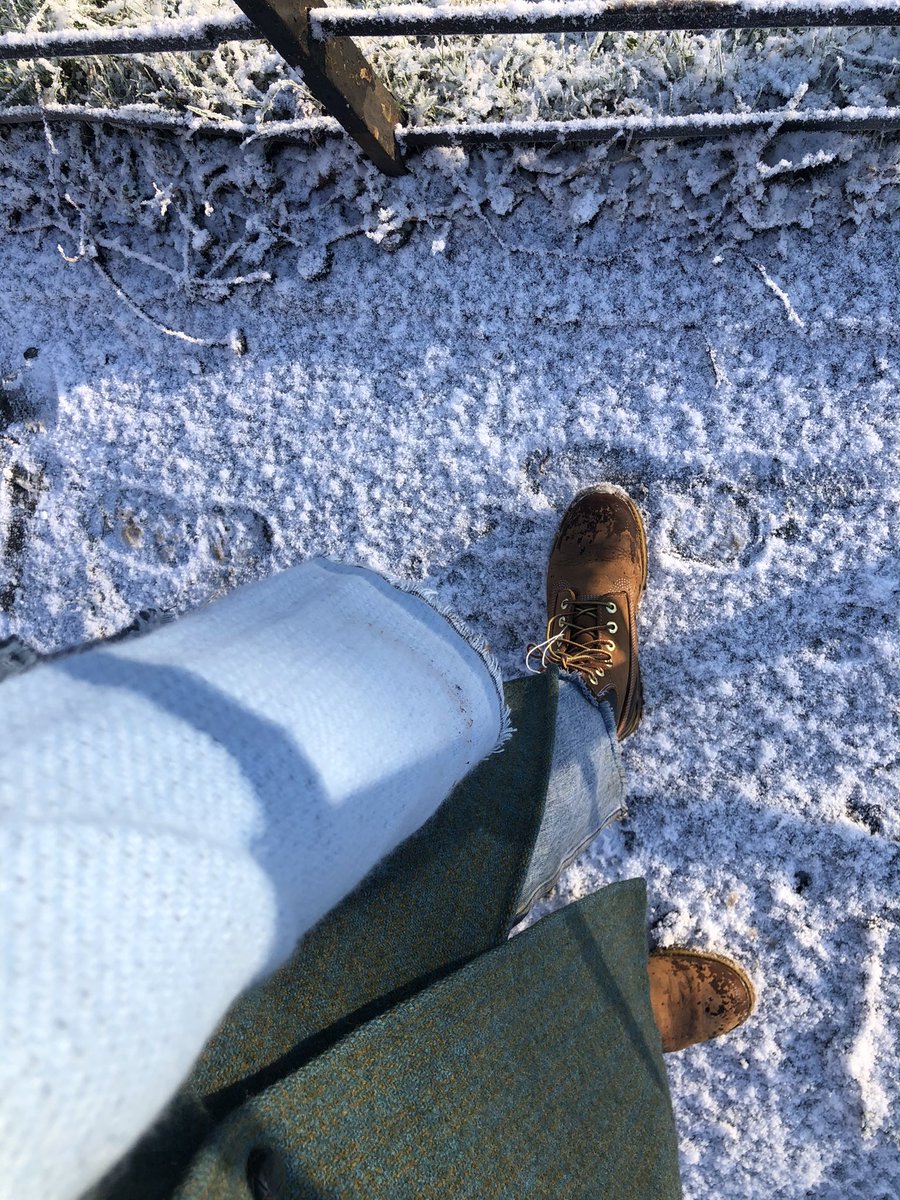 LlaurenLyle's tweet photo. Siri, play winter https://t.co/yNpmRDKExW