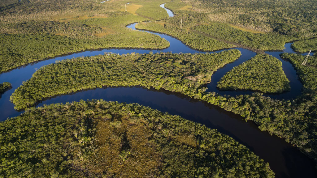 Governments must put indigenous people’s land tenure rights above profit to avoid mass land privatisation and help save the planet 🌍 bit.ly/3mAeRzj