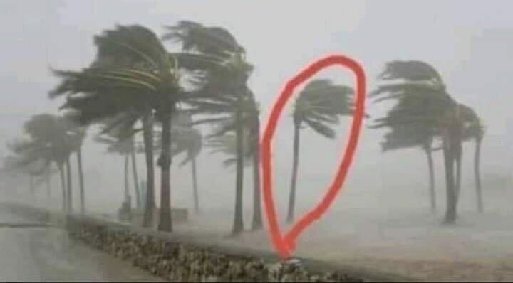 você é teimoso? 

eu