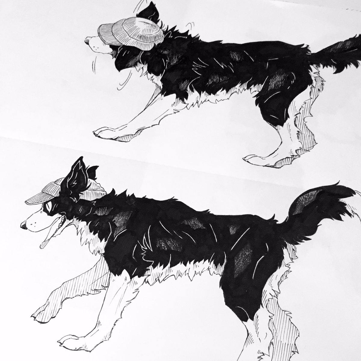 Kenny Chi 肯尼吉commission Open Kennychi6 Twitter Kenny Chi 肯尼吉commission Open Kennychi6 Twitter