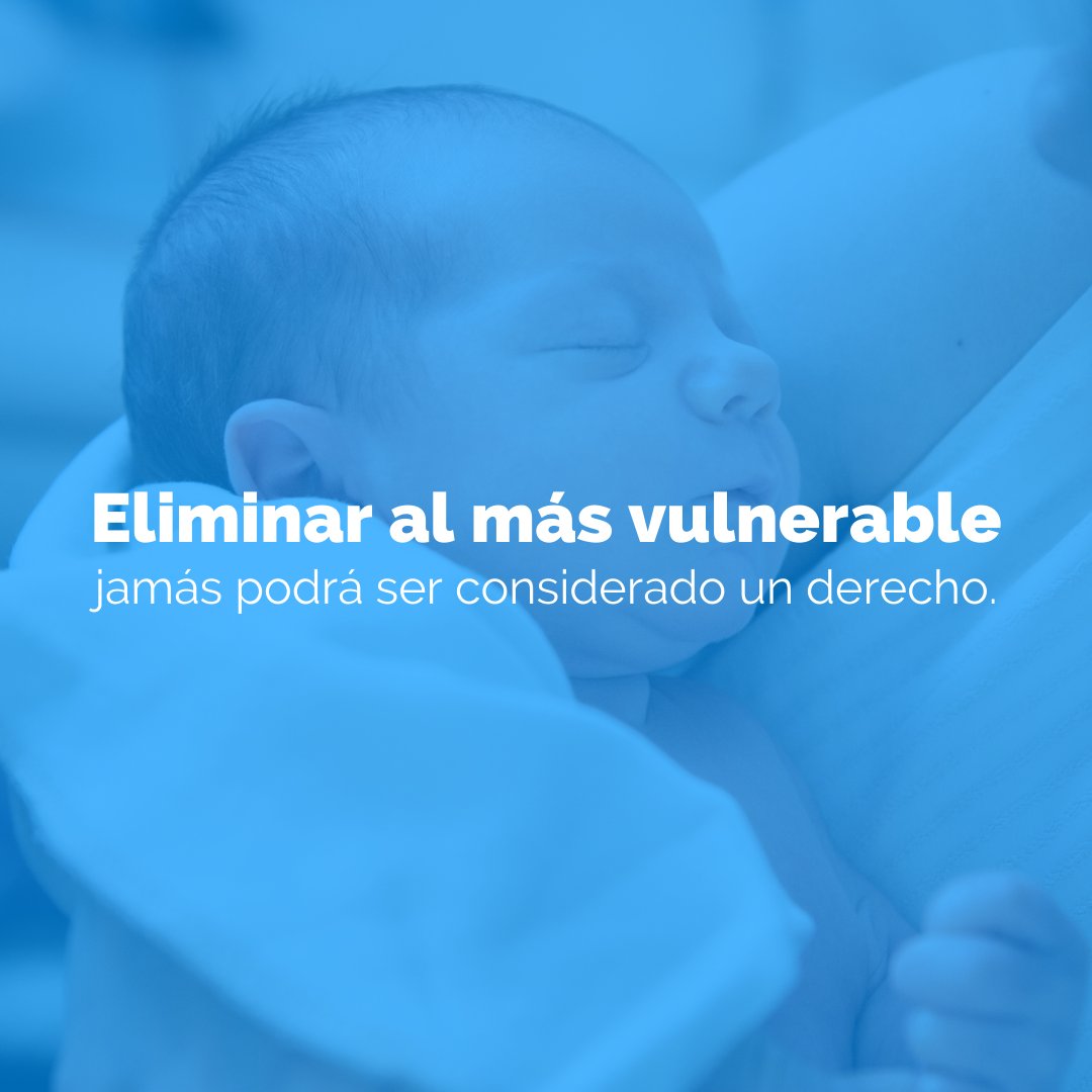 familiaimporta's tweet photo. Sin excepción alguna, todos merecemos protección y respeto a nuestros derechos en todo momento. Los derechos no se crean, se reconocen.

#ArgentinaEsProVida https://t.co/aCSBSgFvZj