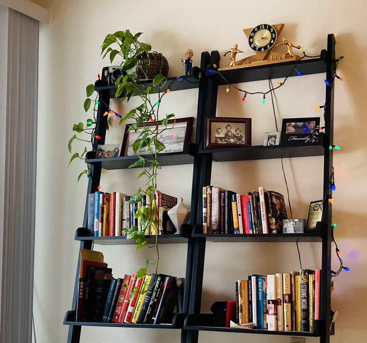 My office plant Zsa Zsa loves her new home