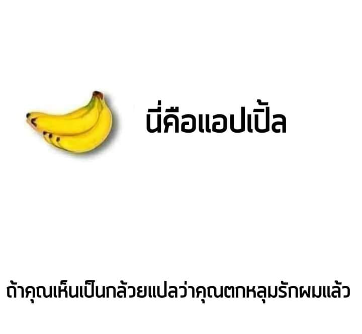 ปิดบอท tweet media