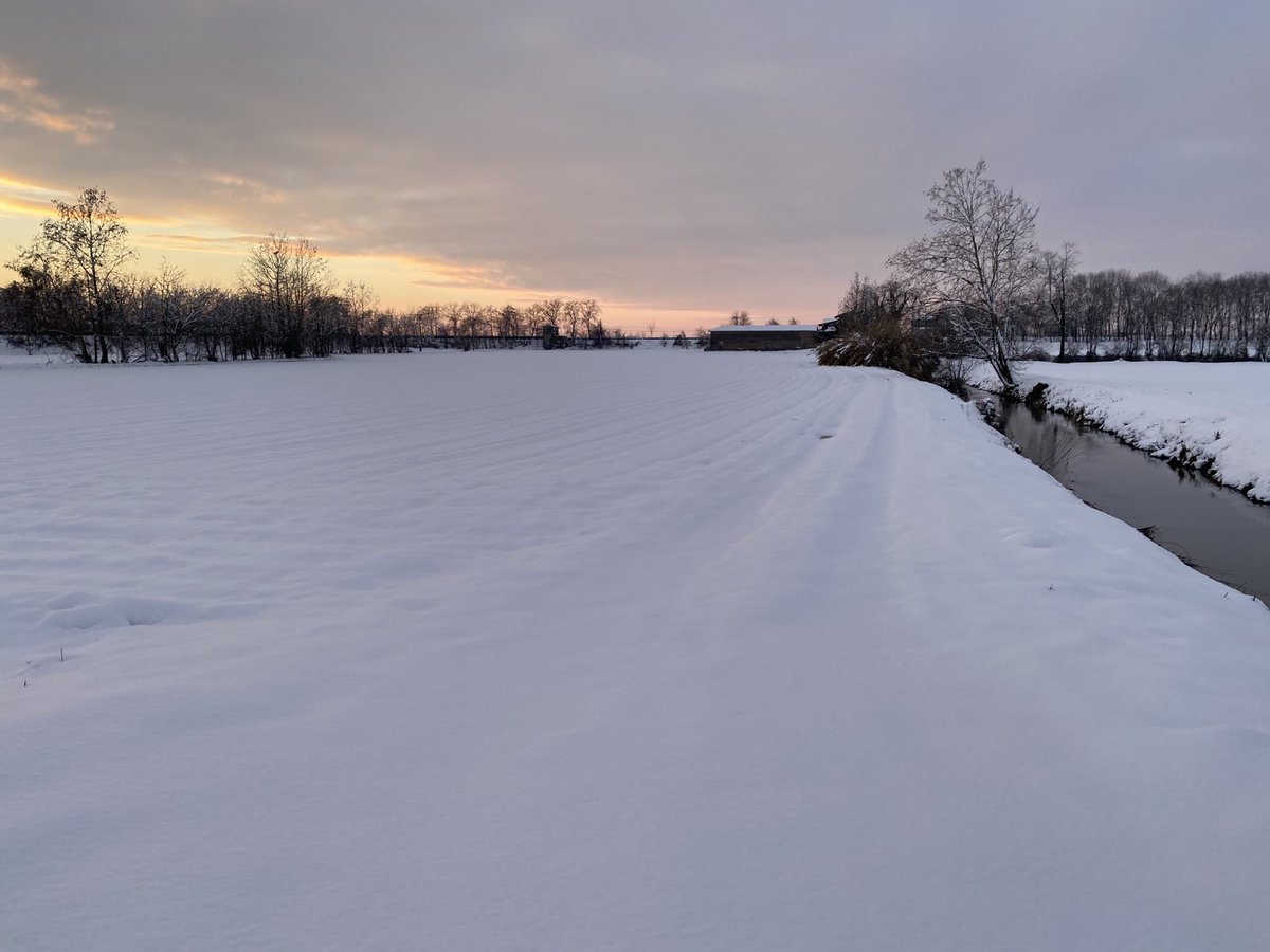 Antonio Fiameni tweet media