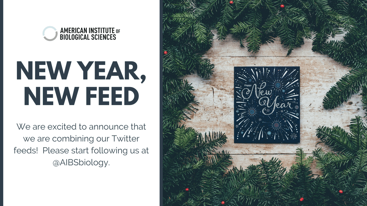WE HAVE MOVED! FOLLOW US @AIBSbiology. tweet media