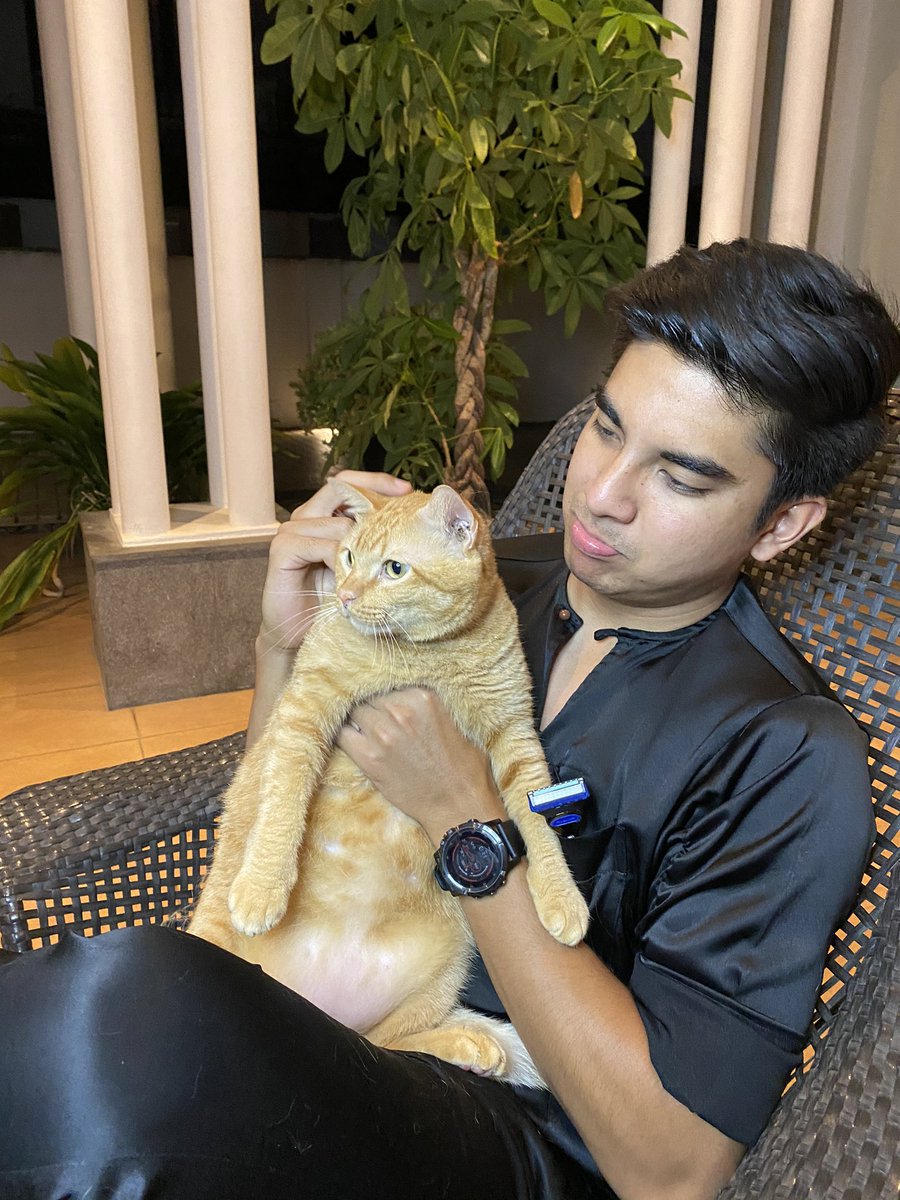 SyedSaddiq's tweet image. RM185,960!!! Terima kasih rakyat Malaysia!!!

Toby pun dah panik. Takut kena botak sekali. Adakah Toby akan menjadi Tobald?

It’s the final countdown! 

Klik bit.ly/sumbangan1kelu… dan bantu pelajar Muo.

#BotakChallenge