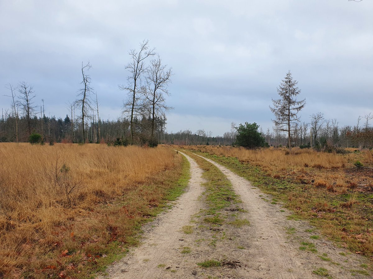 juflisanne's tweet photo. Wandelen. Lockdown kerstvakantie uitje. https://t.co/MxZS4REqYS