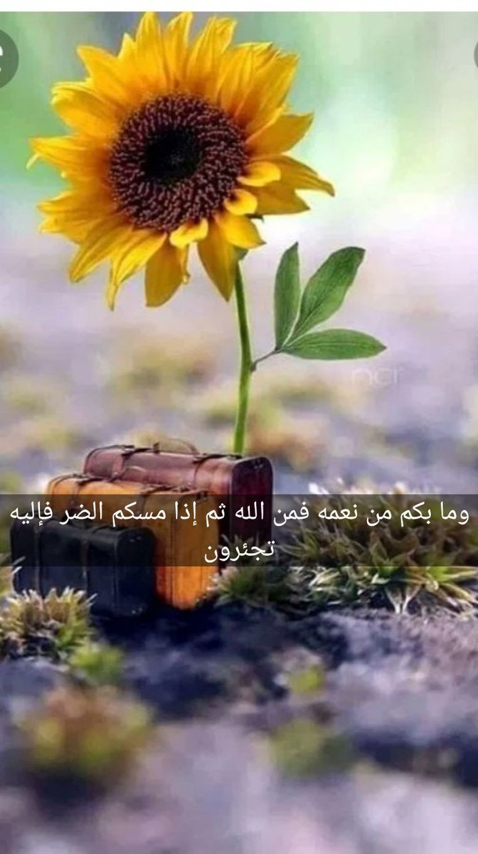 استغفر الله