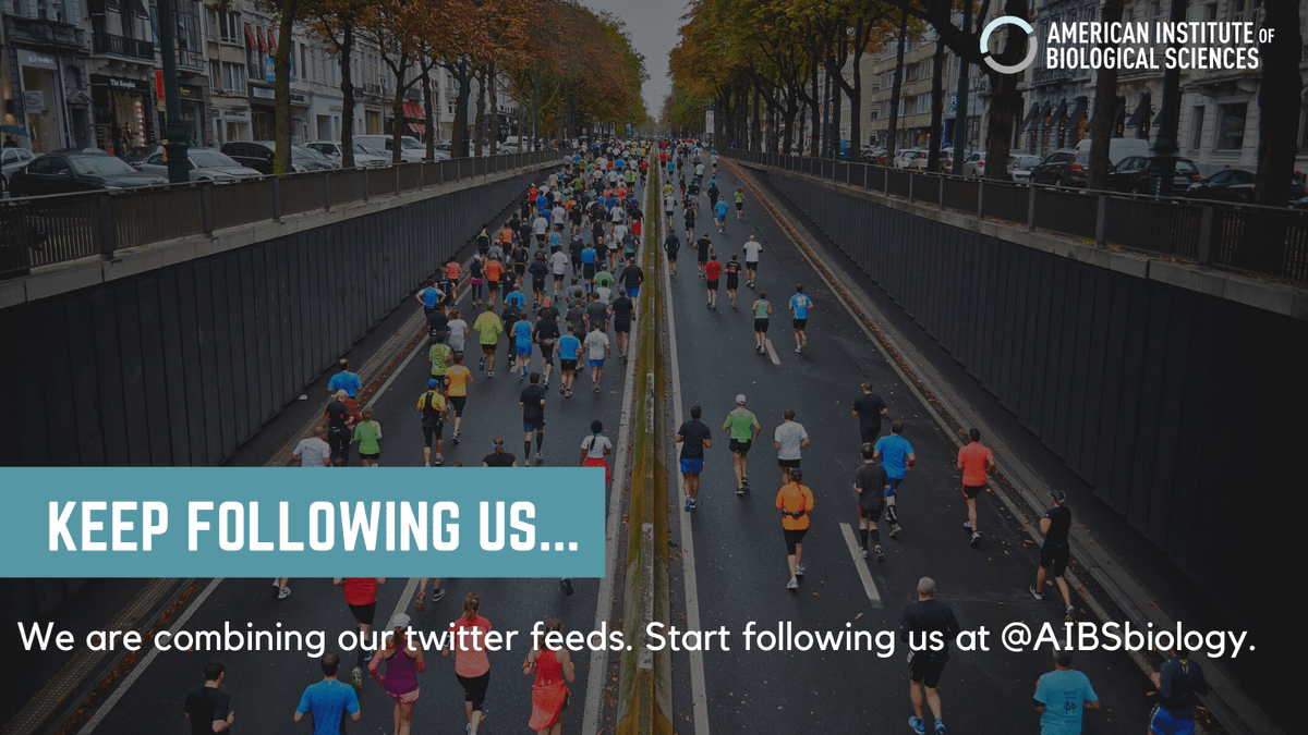 WE HAVE MOVED! FOLLOW US @AIBSbiology. tweet media