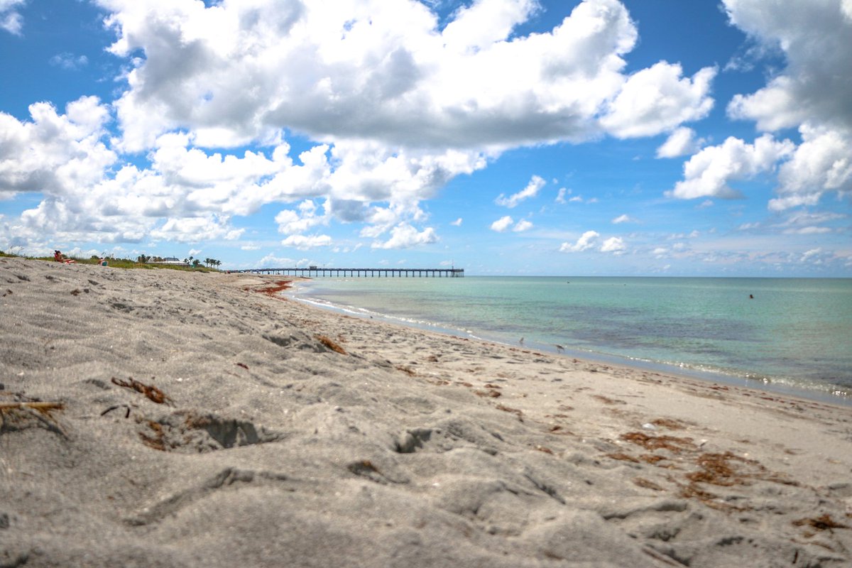 Visit Sarasota County tweet media